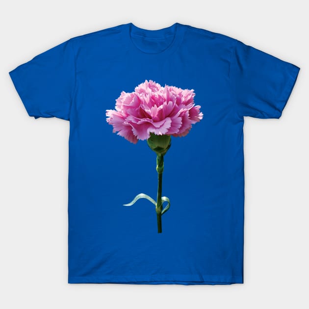 Carnations - One Pink Carnation T-Shirt by SusanSavad